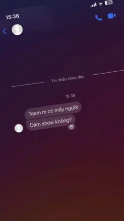 Team m có mấy người?