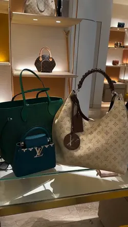 BOLSAS | DIVULGAÇÃO