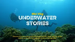 Underwater Stories 