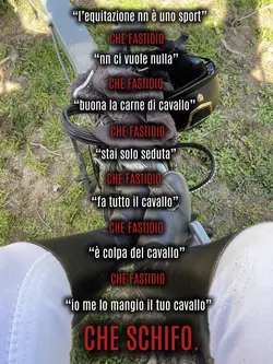 che fastidio_eq