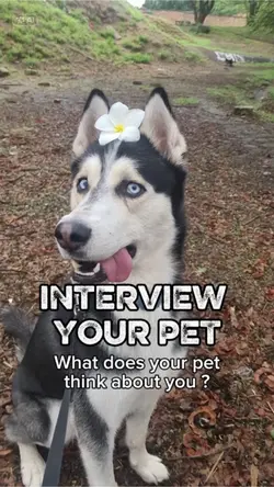 Interview your pet