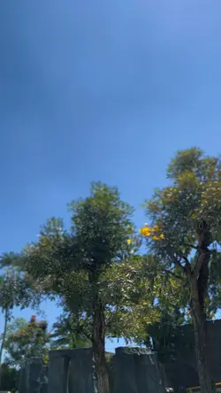5 KLIP VIDEO 