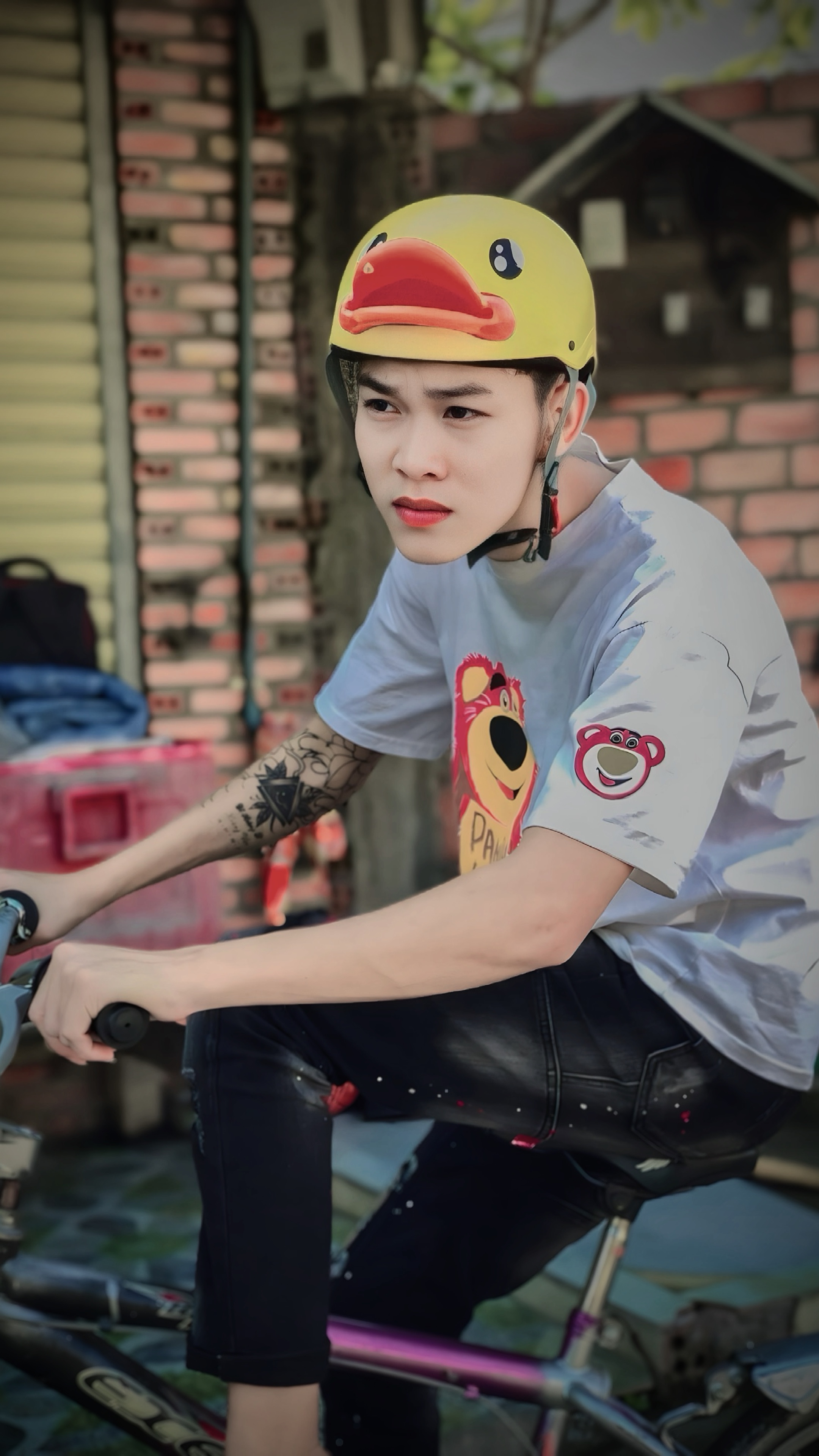 Trình Chiếu & Màu