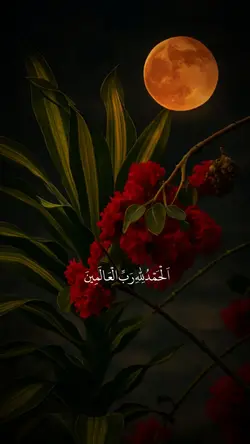 ویدیو اسلامی