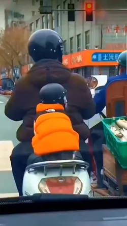 kucing orange nakal
