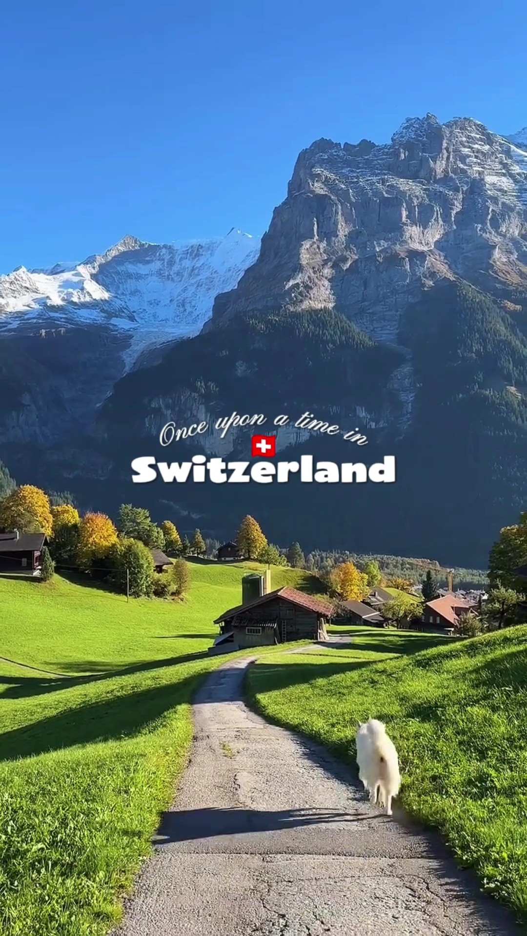 Switzerland Travel