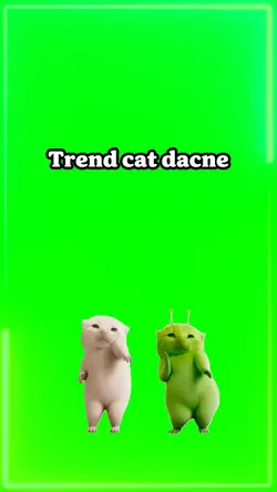 Cat dance 
