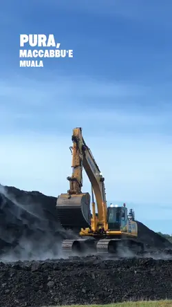 CAMMING MADDENNE RIB