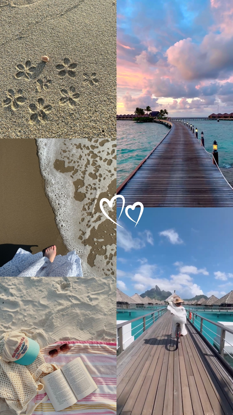 2 vidéos 3 photos