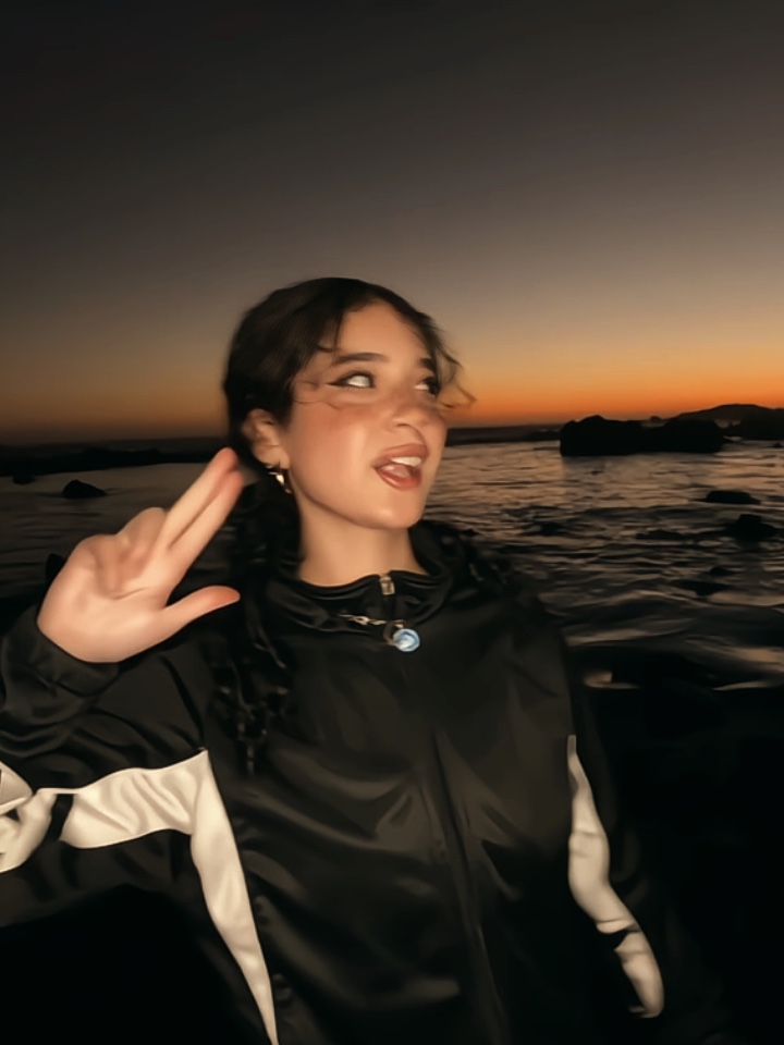 montagem rabeta