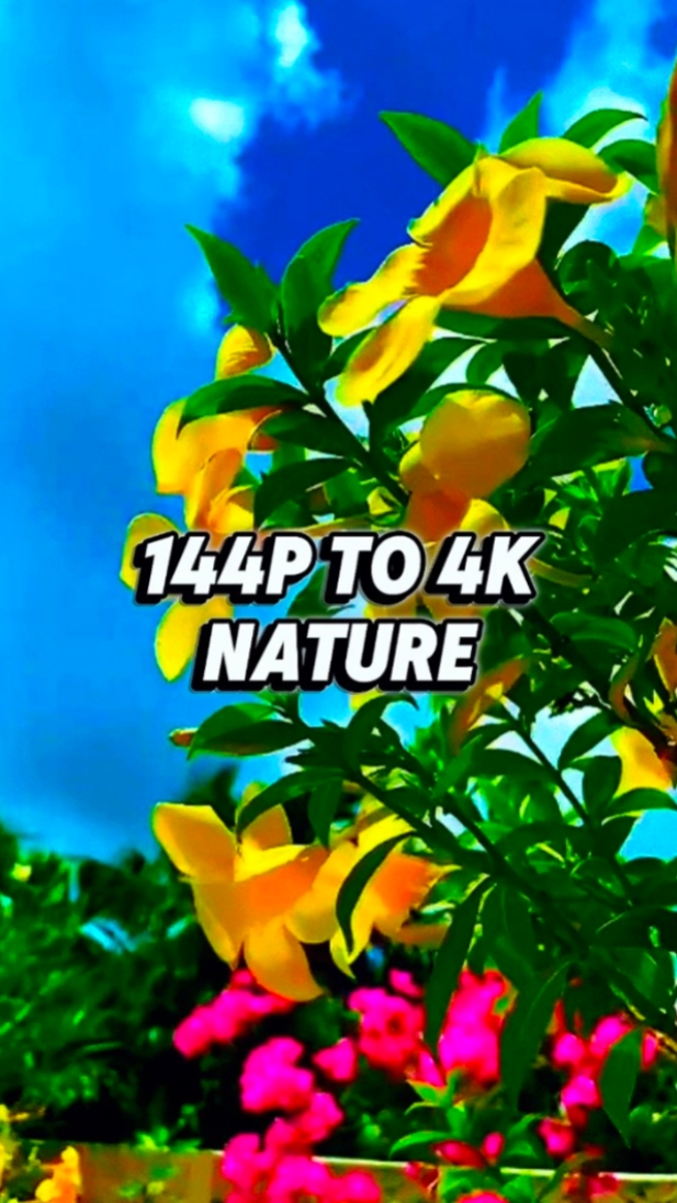 144p TO 4k Nature 