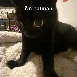I'm batman