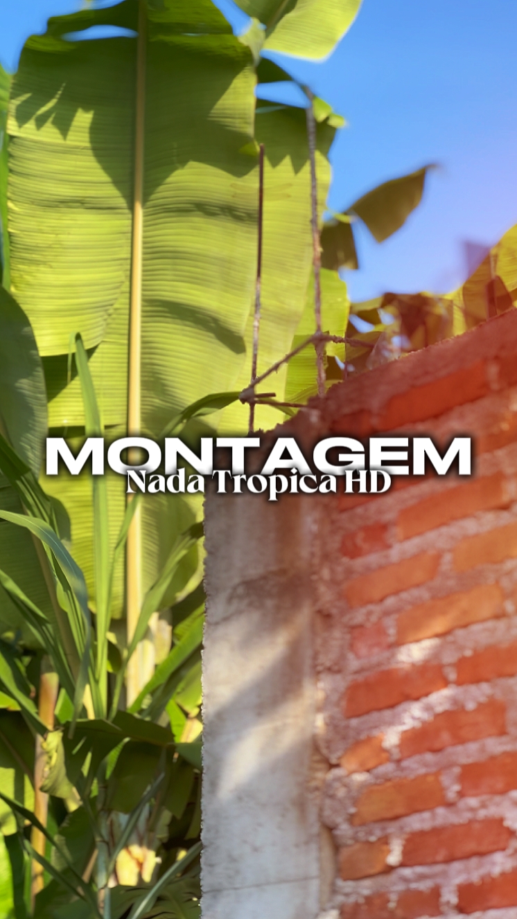 Nada Tropica HD