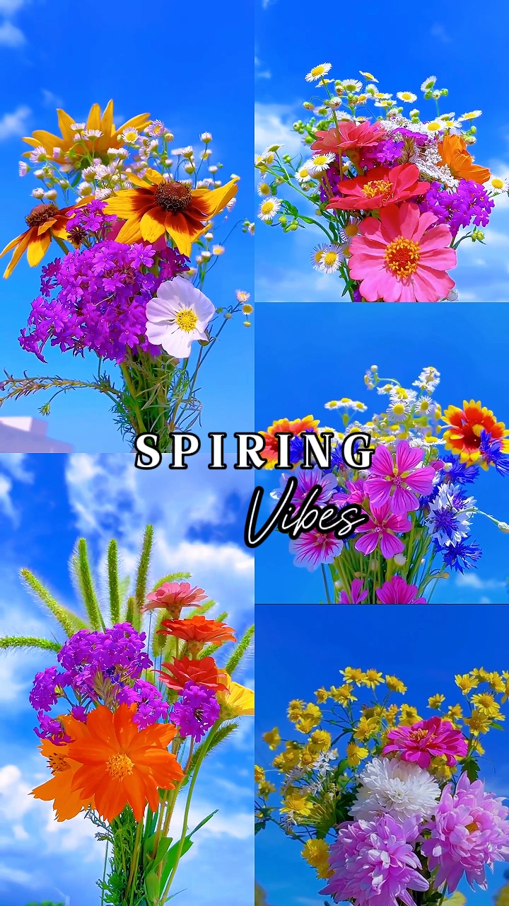 Spring Vibes 