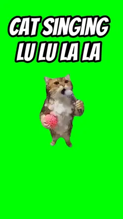 Cat singing Lu Lu 