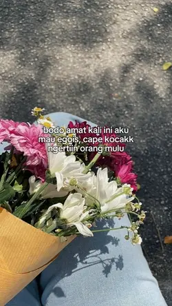 bodo amat kali ini