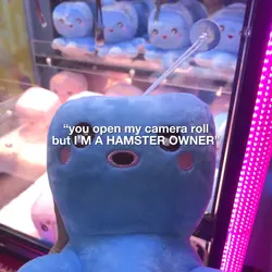 Hamster