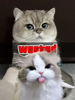 Wasted