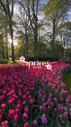 spring break