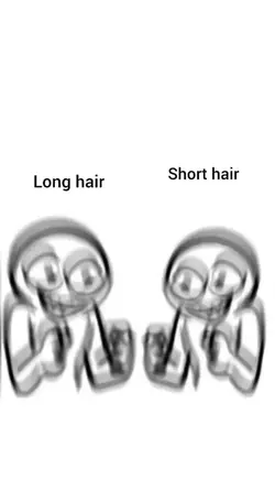 longhair/shorthair