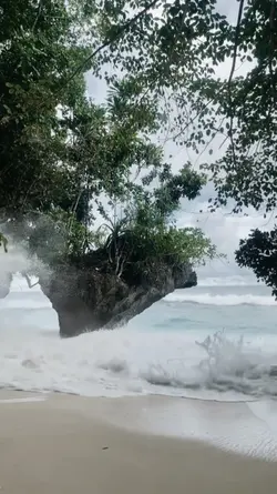 tangkap basah