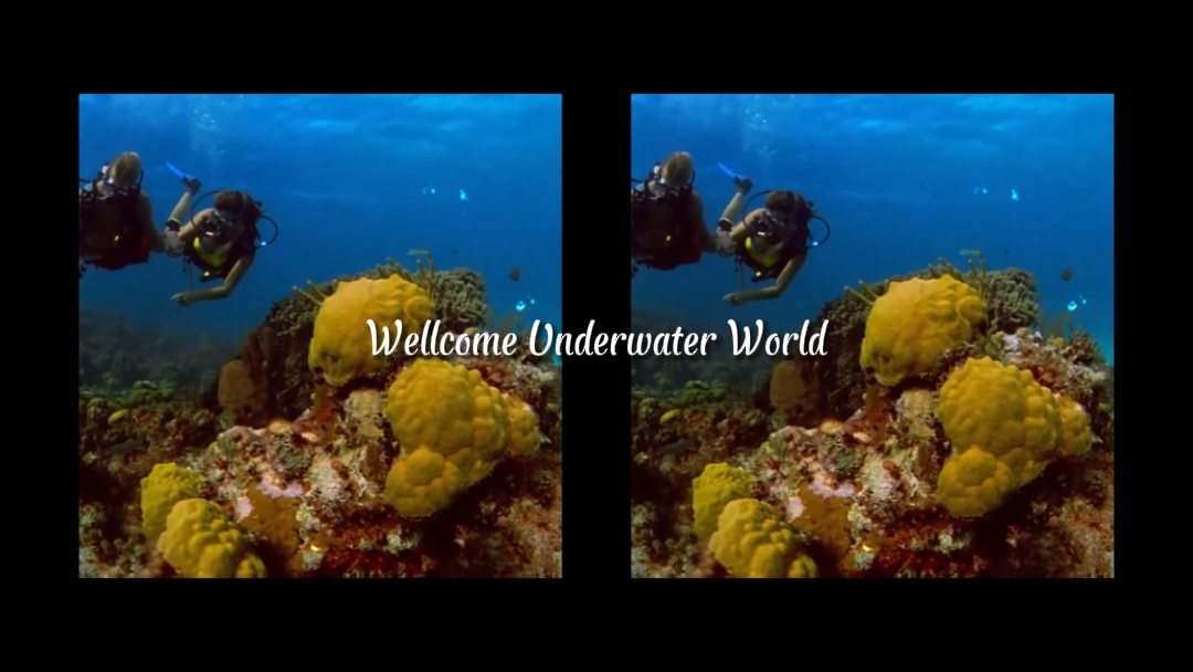 Travel Intro