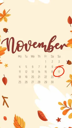 hbd 17 nov 2024