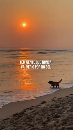 Apenas faça