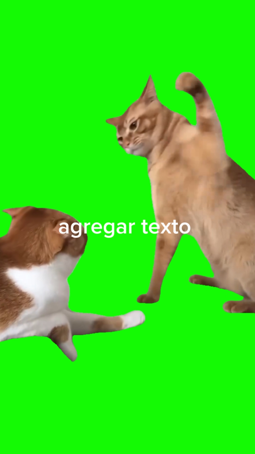Gastos peleando 