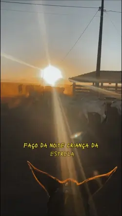 Faço da noite crianç