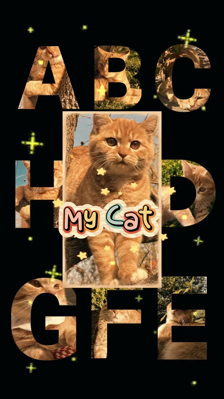 Meu gato fofo 