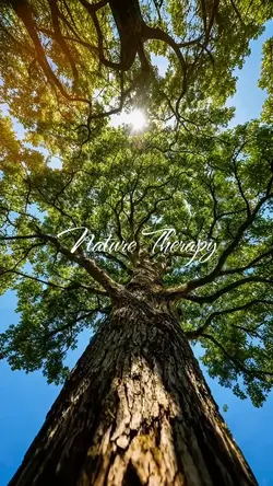 Nature Therapy