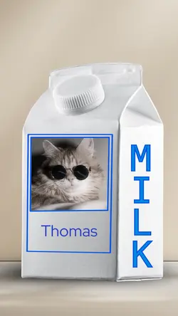 Milk Carton 