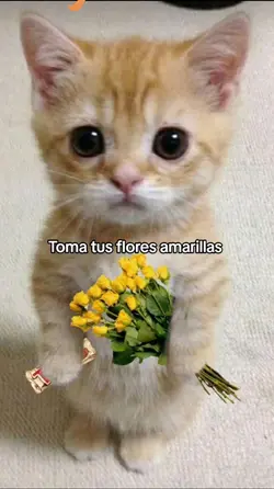 Flores amarillas