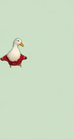 dancing duck