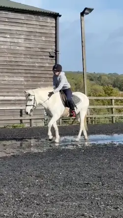 💓 | FAKE NOT REAL