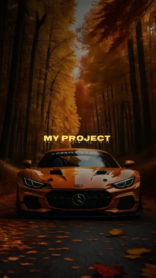 my project 
