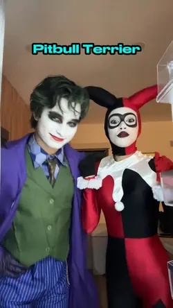 Pitbull Terrier!❤️❤️❤️