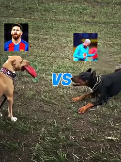 Messi VS Neymar 