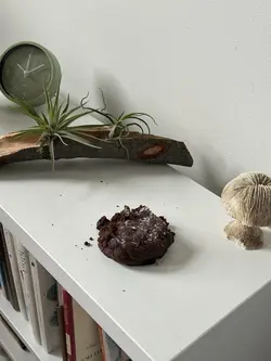Cookies Stop motion
