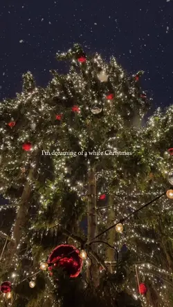 im dreaming white xm