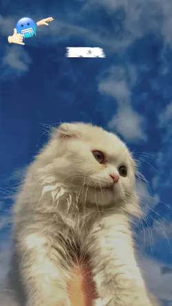 lirik estetik