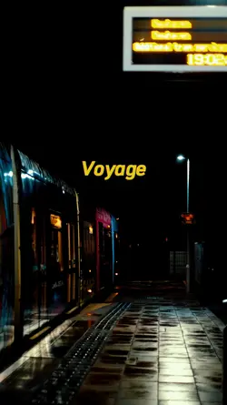 Trams go Roam Voyage