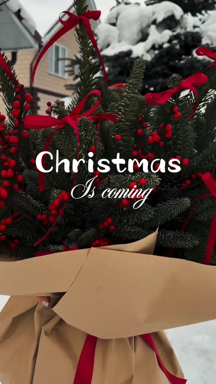 O Natal está chegando 