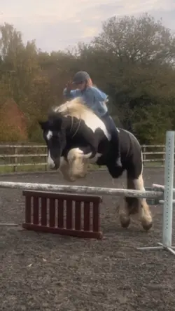 No hands!
