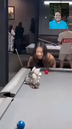 funny cat