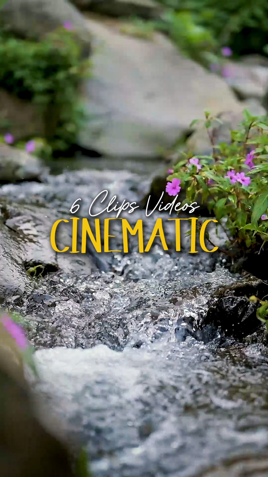 Cinematic 6 Videos