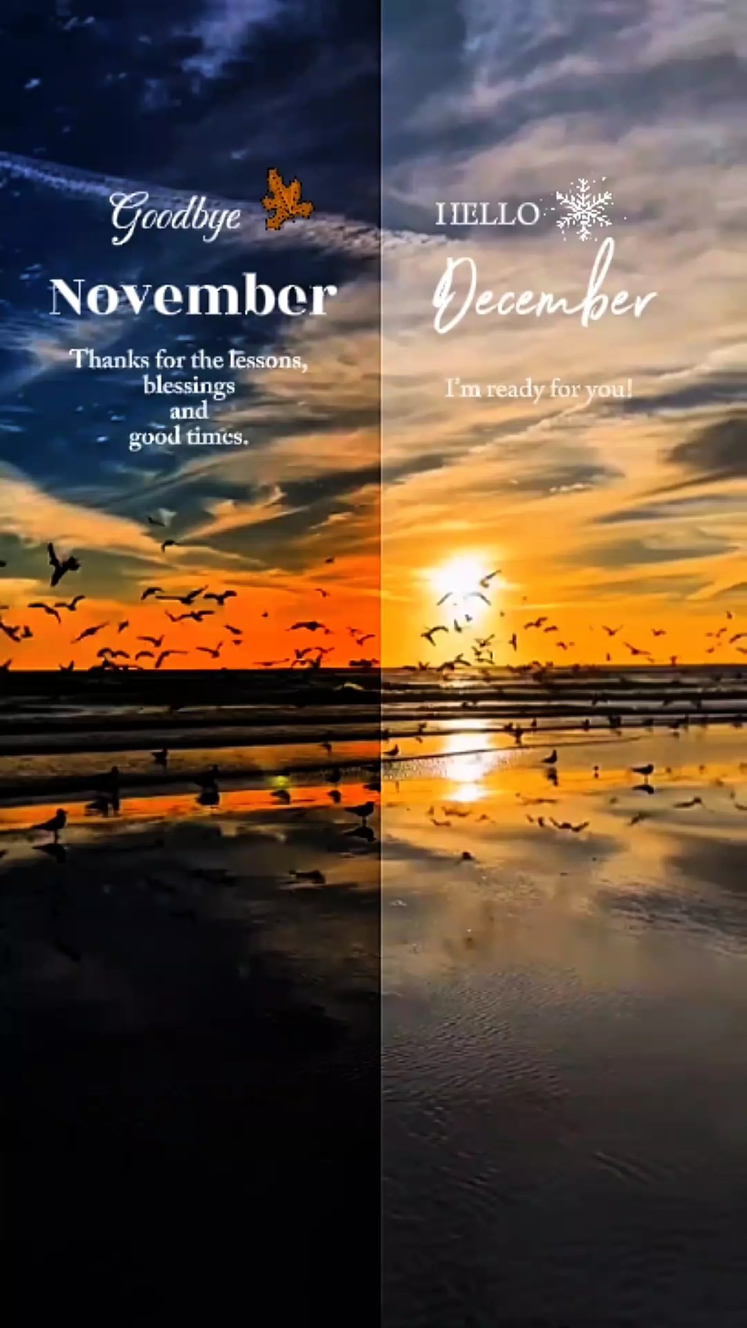 Adiós noviembre 