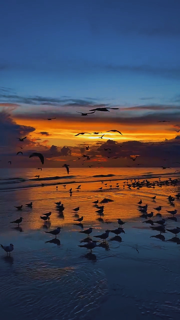 sunset moments 