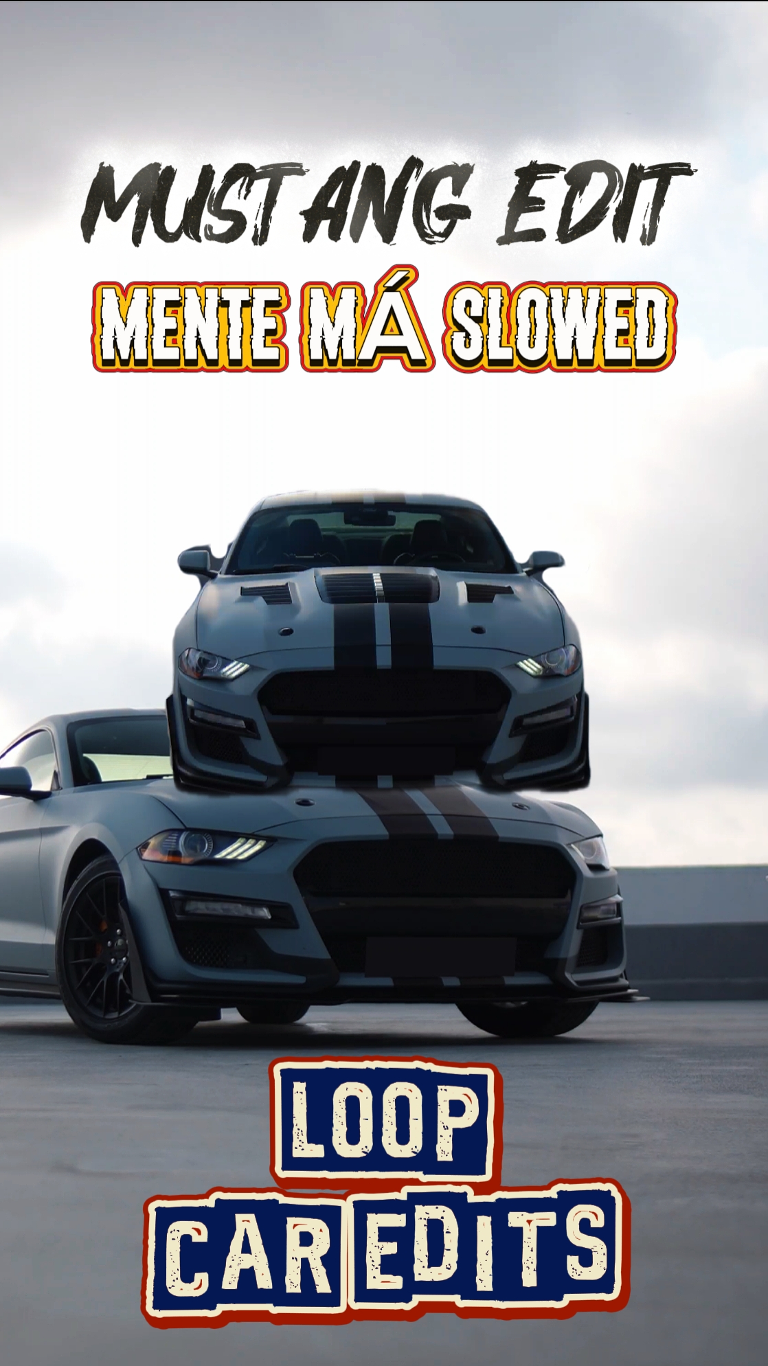 MUSTANG EDIT LOOP
